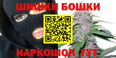 прущие грибы Апшеронск