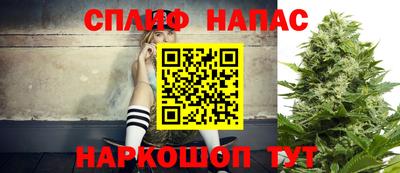 прущие грибы Апшеронск