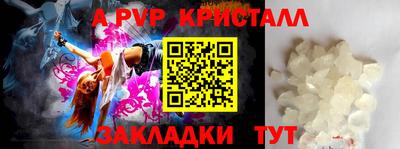 прущие грибы Апшеронск