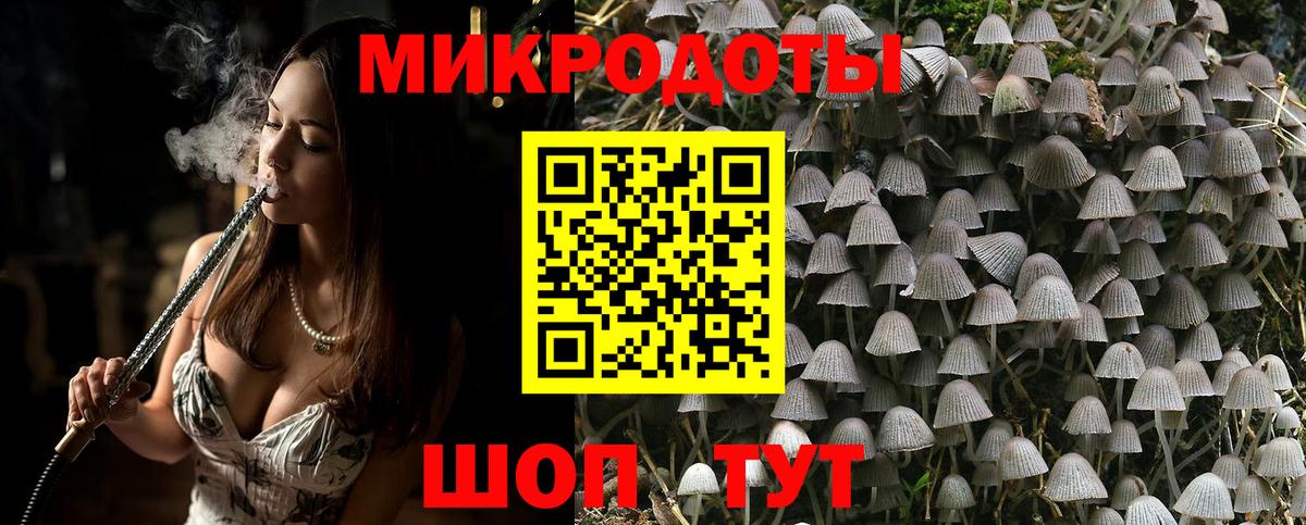 Галлюциногенные грибы Psilocybine cubensis Вышний Волочёк